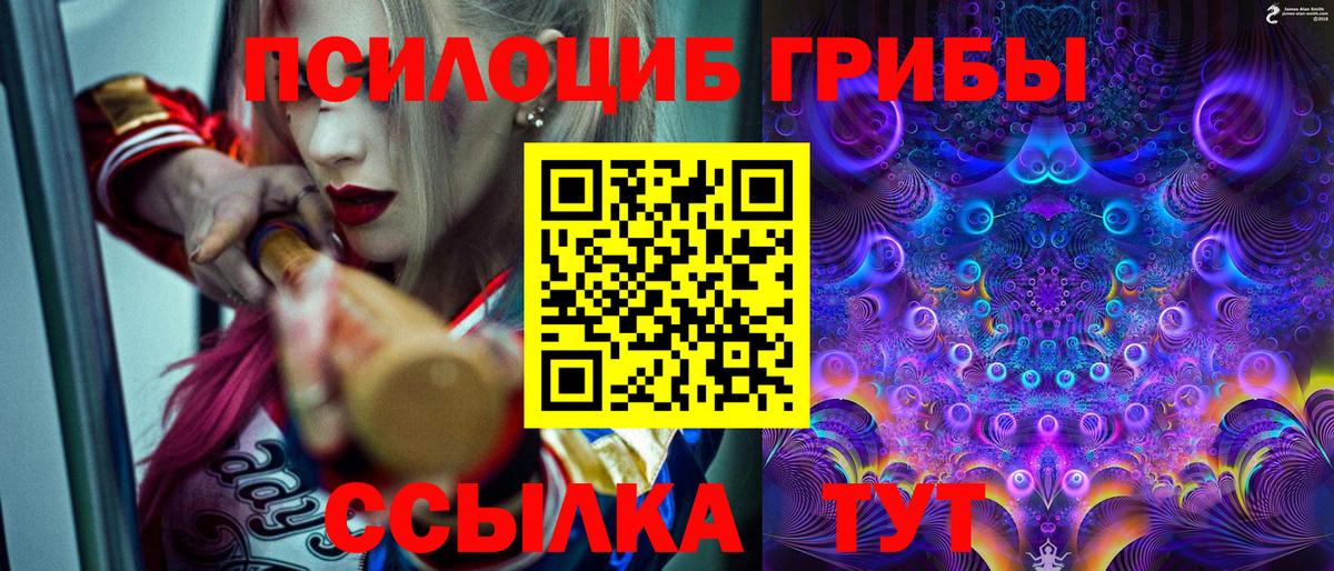 Галлюциногенные грибы Psilocybine cubensis  Вход с VPN  Галлюциногенные грибы Cubensis  Лесной 
